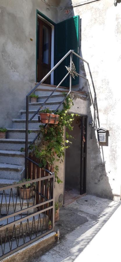 Nicolas House Campiglia d'Orcia Ngoại thất bức ảnh