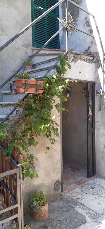 Nicolas House Campiglia d'Orcia Ngoại thất bức ảnh