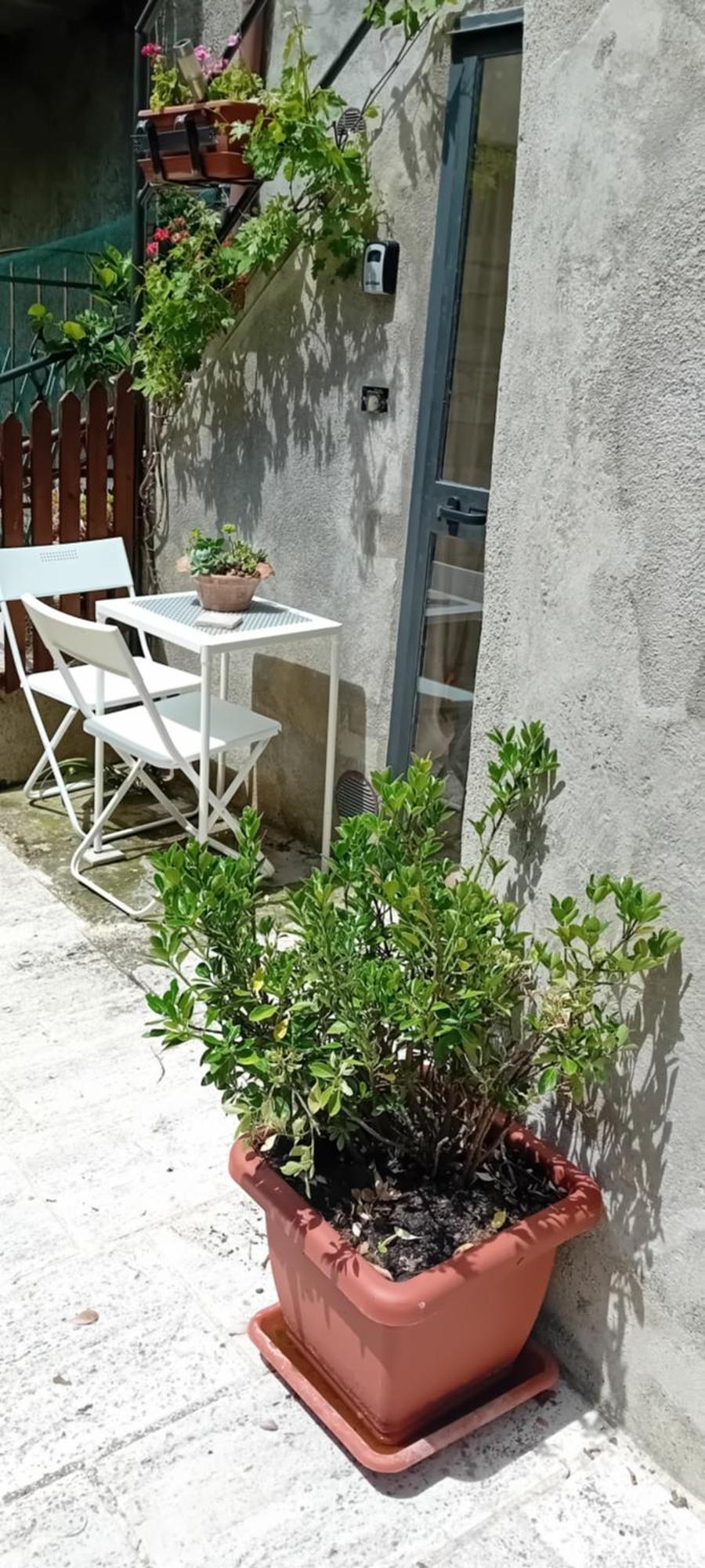 Nicolas House Campiglia d'Orcia Ngoại thất bức ảnh